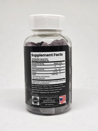 Shilajit Gomitas 60 Gomitas